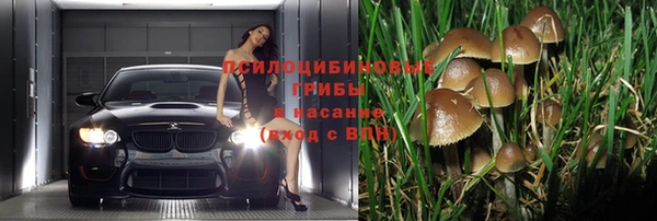 таблы Покачи