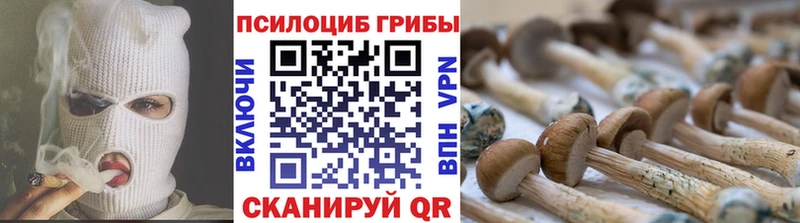 omg как зайти купить наркоту Солигалич Галлюциногенные грибы Psilocybe